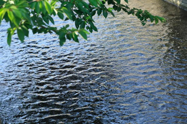 Piękna Rzeka Wodą — Zdjęcie stockowe