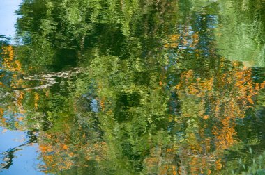 Sonbaharda sudaki yansıma