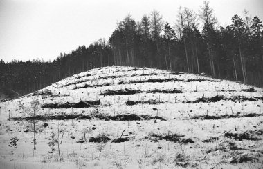 Kış mevsiminde tepe ve ormanın güzel manzarası, siyah ve beyaz.