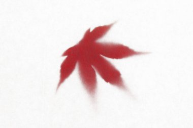 Beyaz arkaplanda kırmızı akçaağaç yaprakları