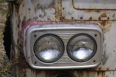 Bitkilerle birlikte eski paslı araç farlarına yakın çekim