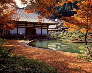 Japon tapınağının tarihi manzarası