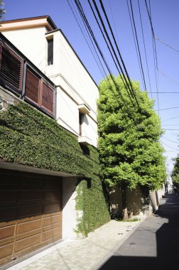 Dış duvarları yeşil sarmaşıklarla kaplayan modern konut binası