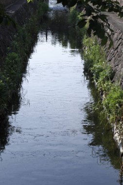Parktaki nehrin güzel manzarası