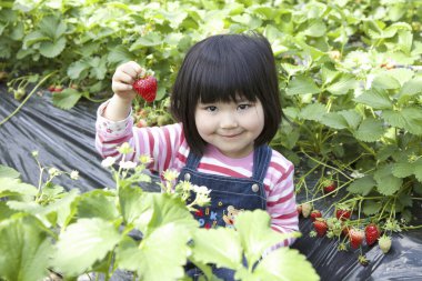 Küçük Asyalı kız çilek tutuyor.