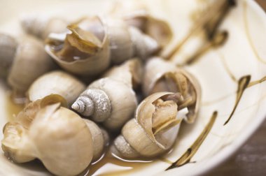 kaynamış salyangoz kapak görüntüsü