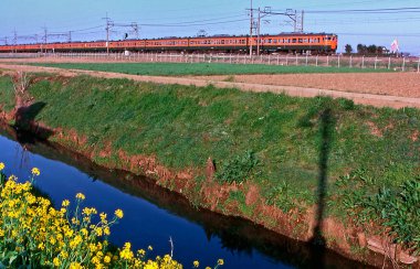 Tren Japonya 'da çiçeklerle demiryolunda ilerliyor.