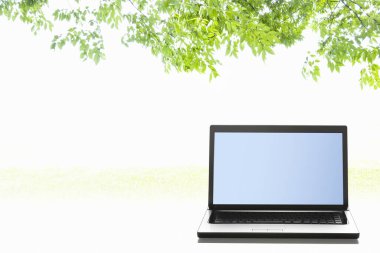 beyaz arkaplanda yapraklı dizüstü bilgisayar ve mavi ekran 