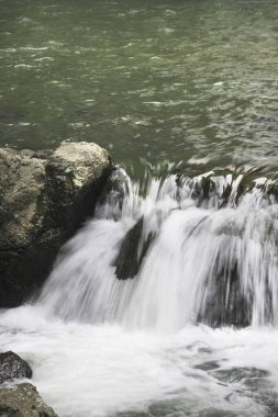 Ormandaki şelalenin güzel manzarası               