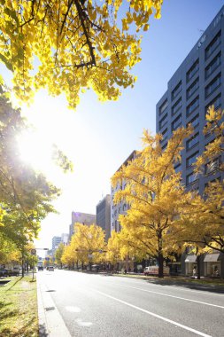 şehir mimarisi arka plan görüntüsü, modern şehir 