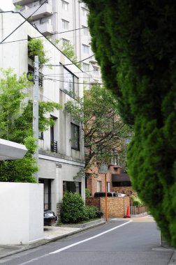Chojamaru 'nun mimarisi, Kamiosaki olarak da bilinir, Tokyo Shinagawa' da özel bir yerleşim alanıdır..