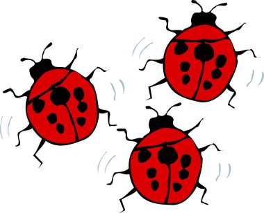  Beyaz arkaplanda kırmızı uğur böcekleri çizgi film çizimleri 