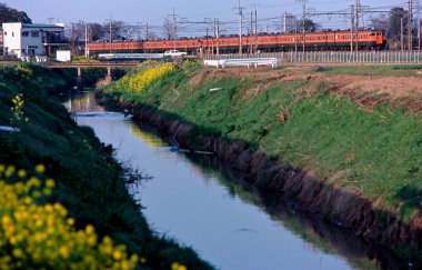 Tren Japonya 'da çiçeklerle demiryolunda ilerliyor.