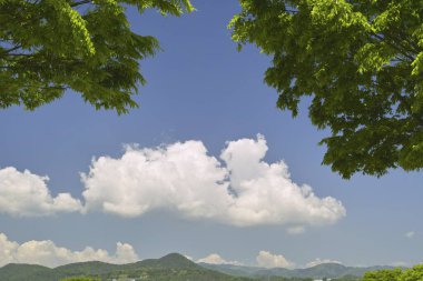Yeşil ağaçları ve gökyüzü olan güzel bir manzara.
