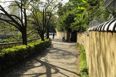 Sarı duvarın yanında, gölgeli güneşli patika.