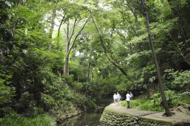 Yazın turistlerin olduğu güzel Japon bahçesi.