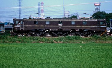 Tren, Japonya 'da yeşil çimlerle birlikte doğa arka planında ilerliyor.