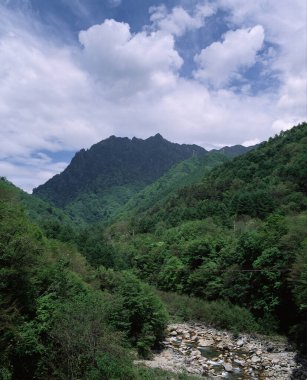 Yazın dağların ve nehrin manzarası
