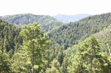 Dağ manzarası çok güzel. doğa arkaplanı
