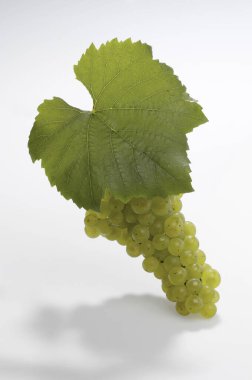 Beyaz arkaplan yapraklı yeşil üzümler