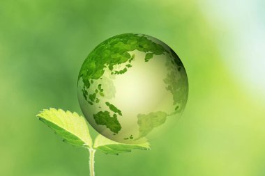 Yeşil yapraklı yeşil küre, ekoloji kavramı 