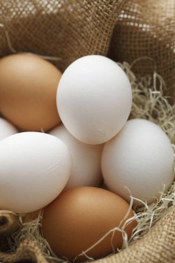 Taze organik tavuk yumurtalarının yakın plan görüntüsü      