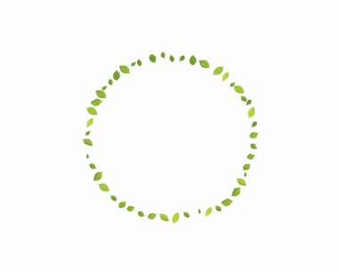 Beyaz arkaplanda taze yeşil yapraklar çemberi