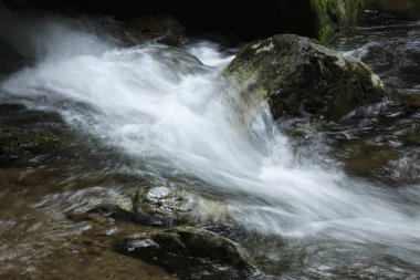 Ormandaki kayaların üzerinden akan bir su deresi.