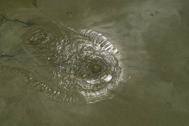 Denizin yüzeyinde bir sürü kum var. Kumun dokusu.