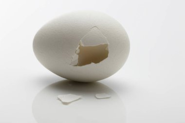 İzole edilmiş arka planda yumurtanın yakın plan çekimi.