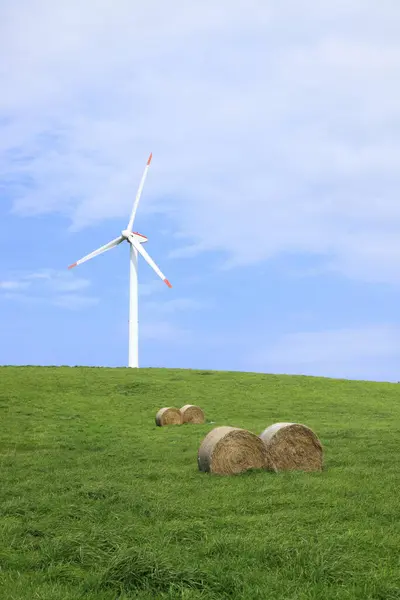 Windmill Green Field — Stock Photo, Image