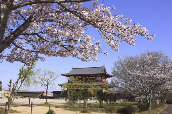 Sakura Suzaku Puerta Del Palacio Nara Sitio Concepto Viaje — Foto de Stock