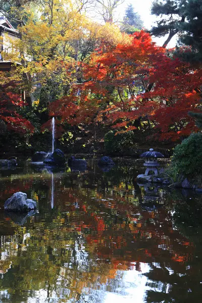 beautiful autumn landscape with trees in Japanese park