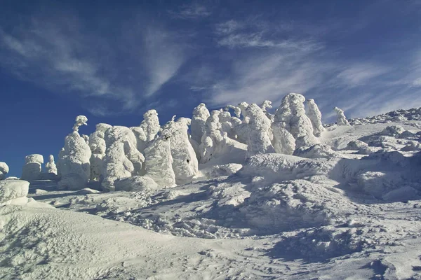 Bela Paisagem Inverno Com Árvores Cobertas Neve Nas Montanhas — Fotografia de Stock