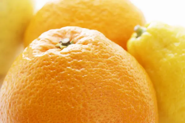 Fresh Oranges Lemon Fruits — Stock Photo, Image