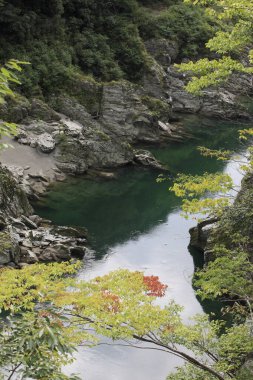 Dağlardaki şelalenin manzarası