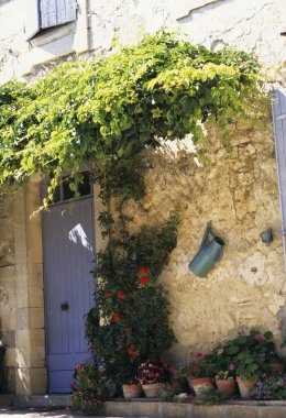 Güzel ahşap kapı, ev ve saksı bitkileri.