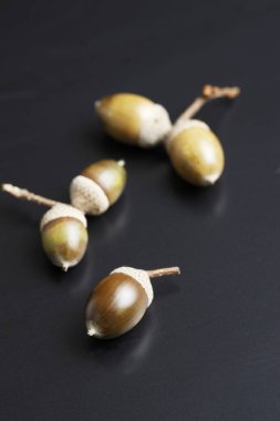 meşe palamudu ve yeşil yaprakların sonbahar kompozisyonu