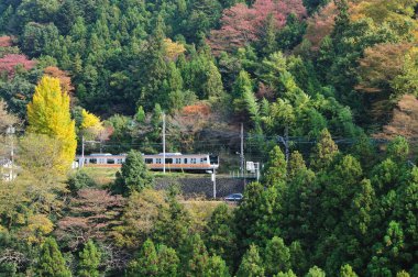 Japonya 'da sonbahar manzarasında hareket eden tren.