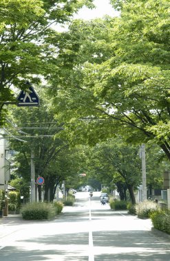 Şehir parkının güzel manzarası