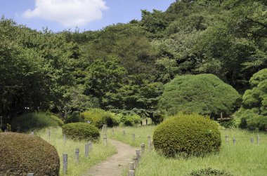 Yeşil ağaçları ve patikası olan güzel bir yaz bahçesi        