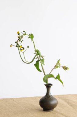 Vazoda bir buket taze çiçek, çiçek kompozisyonu 