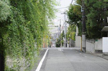 Şehir caddesindeki evlerin cepheleri 