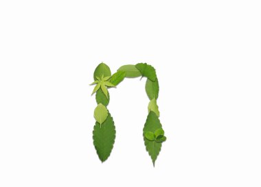 Beyaz arkaplanda yeşil yapraklardan oluşan alfabe. N harfi