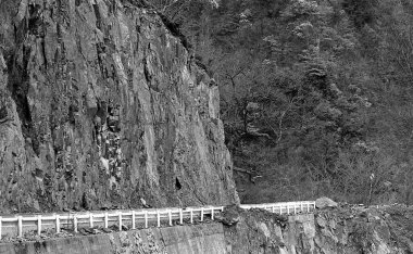 Yol ve ormanın güzel manzarası, siyah ve beyaz