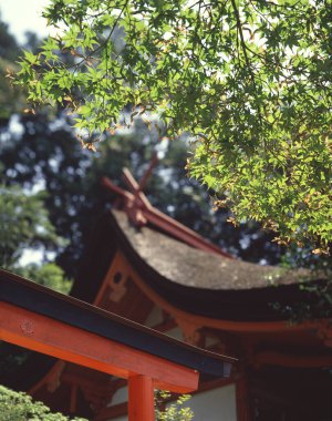 İsrail 'in kuzeyindeki en kirli şehirlerin tapınağı.