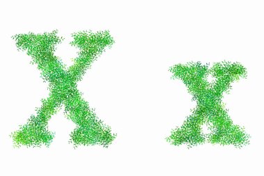 Beyaz arka planda çiçekli yeşil alfabe harfleri, X harfi.