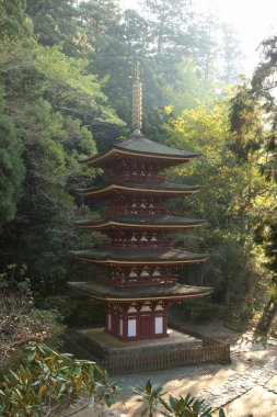 Uda şehrinde beş katlı Pagoda, Nara Bölgesi, Japonya 