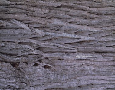 soyut ahşap doku, doğal arkaplan