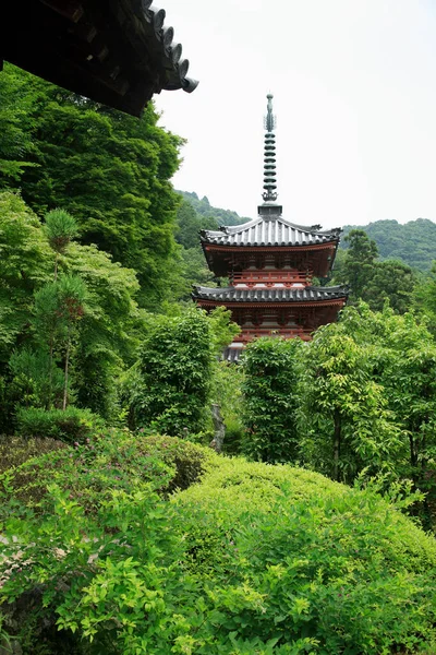 Yemyeşil Bir Ormanın Ortasında Bir Pagoda — Stok fotoğraf